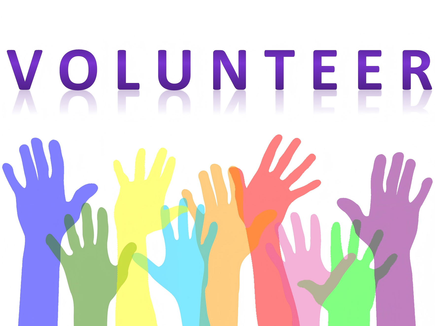 Become a volunteer